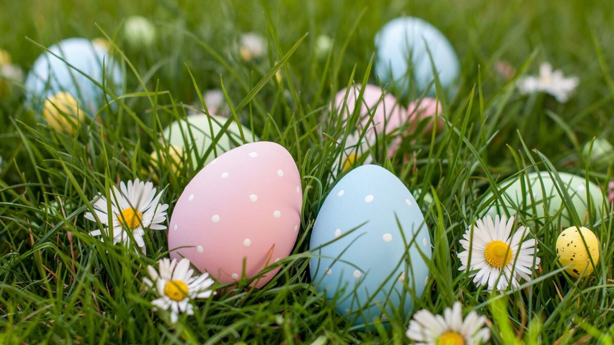 Hippopty Hop to the Tabletop: Hosting an Easter Egg Hunt