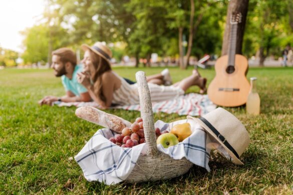 Dinner Picnic in the Park